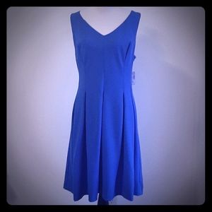 Roz & Ali Fit to Flare V-Neck Sleeveles NWT 16